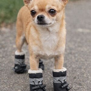 Balacoo dog rain & winter boots size 1